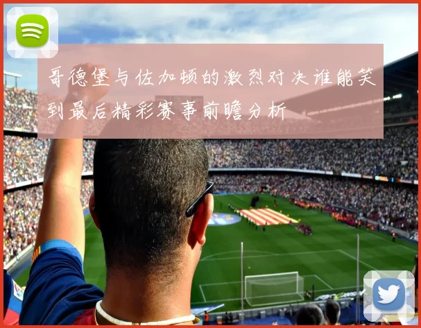 哥德堡与佐加顿的激烈对决谁能笑到最后精彩赛事前瞻分析