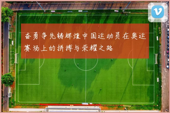 奋勇争先铸辉煌中国运动员在奥运赛场上的拼搏与荣耀之路