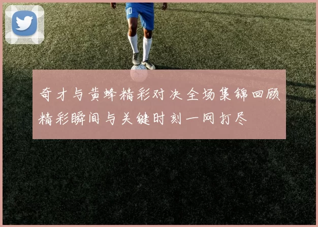 奇才与黄蜂精彩对决全场集锦回顾精彩瞬间与关键时刻一网打尽