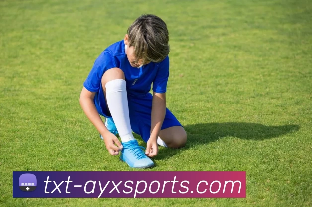 爱游戏平台生态图